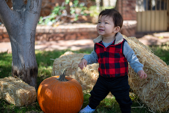 Mena Photography -Halloween Session - 001