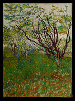 DP-14936-045-van Gogh