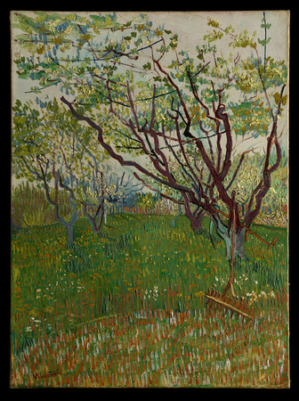 DP-14936-045-van Gogh