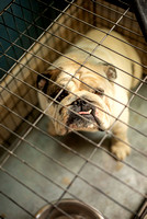 Mena_Photo_0001