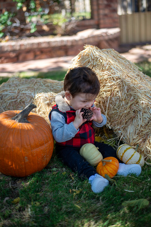 Mena Photography -Halloween Session - 008