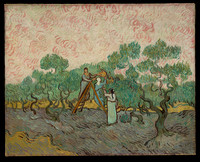DP-17161-001-van Gogh