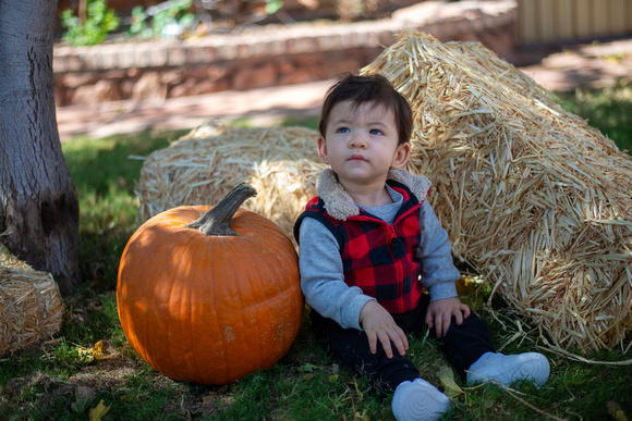 Mena Photography -Halloween Session - 004