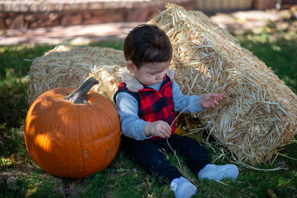 Mena Photography -Halloween Session - 006