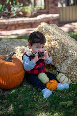 Mena Photography -Halloween Session - 009